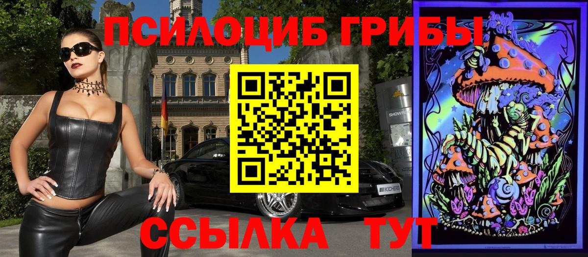 Пыть-Ях  Псилоцибиновые грибы мухоморы  Вход с VPN 